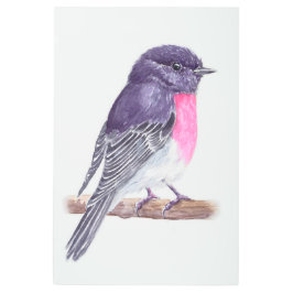 Impresión En Metal 7.º burra