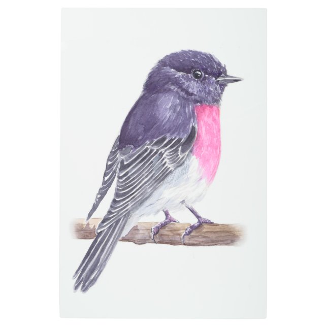 Impresión En Metal 7.º burra (Anverso)