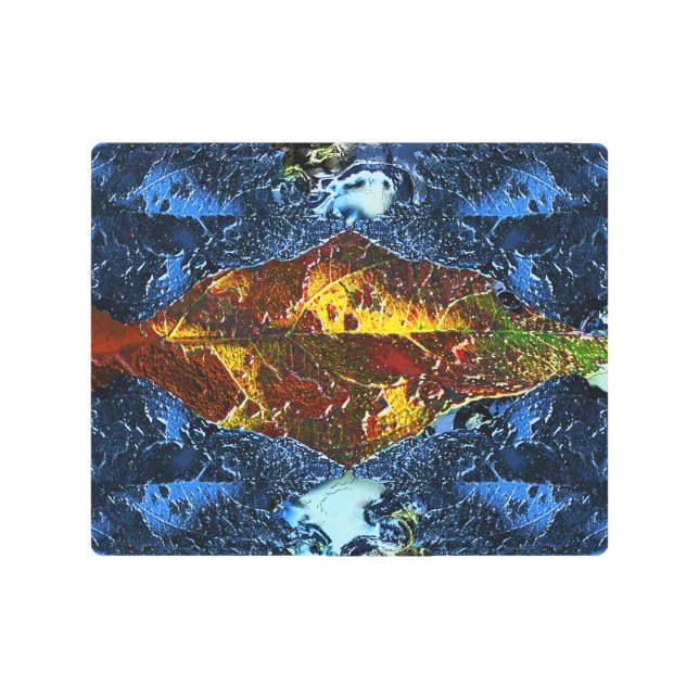 Impresión En Metal A Bright Goldfish (Anverso)