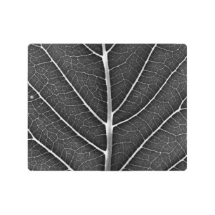 Impresión En Metal Acercamiento de la hoja brillante en blanco y negr