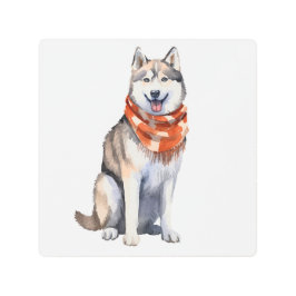 Impresión En Metal Acuarela Cute Perro Husky Siberiano