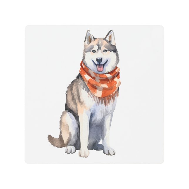 Impresión En Metal Acuarela Cute Perro Husky Siberiano (Anverso)