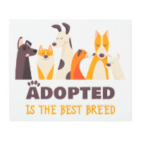 Adoptado es la mejor raza: Refugio de rescate de p