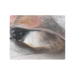 Impresión En Metal Adorable Gatito Siamés De Ojo Azul Mirando hacia a