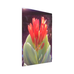 Impresión En Metal Agave floreciente