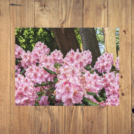 Impresión En Metal Agradable Rhododendron Floral Rosa