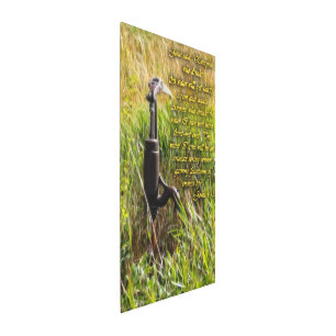 Impresión En Metal Agua viva John 4 Inspirador