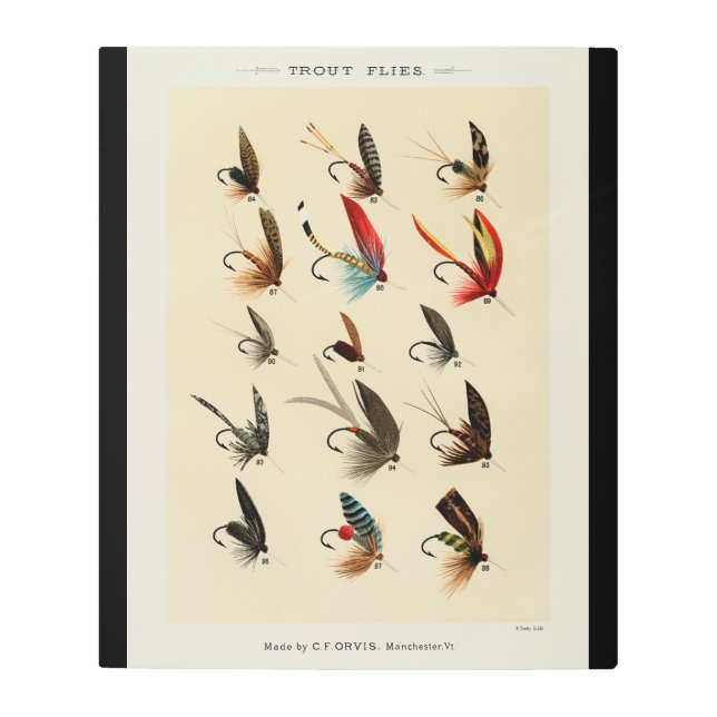 Impresión En Metal Alas de las moscas de la trucha de los insectos vi (Anverso)