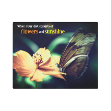 Alimentación de mariposa en la flor