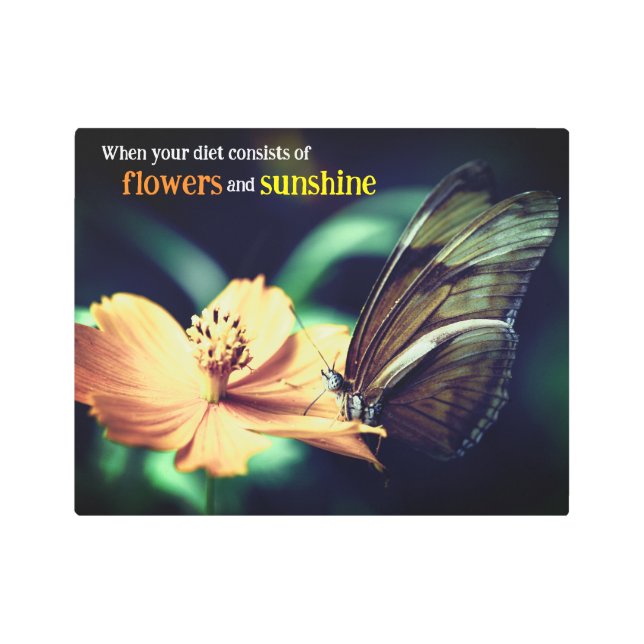 Impresión En Metal Alimentación de mariposa en la flor (Anverso)