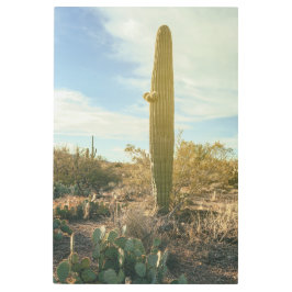 Impresión En Metal Alto de pie