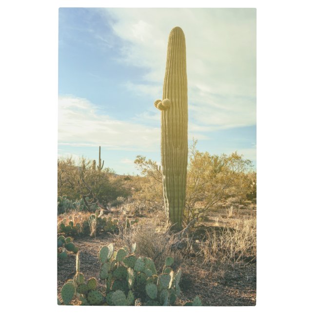 Impresión En Metal Alto de pie (Anverso)