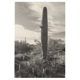 Impresión En Metal Alto de pie