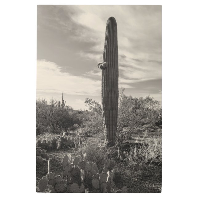 Impresión En Metal Alto de pie (Anverso)