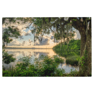 Impresión En Metal Amanecer a través de los Moss