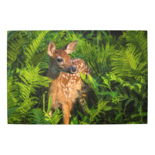 Impresión En Metal Amanecer de ciervo de cola blanca   Minnesota