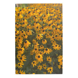 Impresión En Metal Amarillo grande 2025