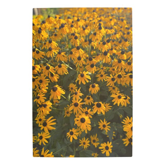 Impresión En Metal Amarillo grande 2025 (Anverso)