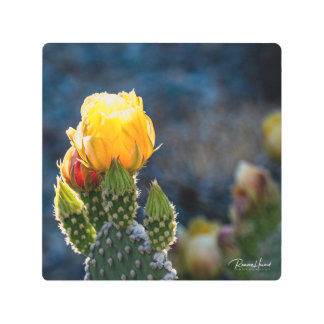 Impresión En Metal Ampliación fotográfica