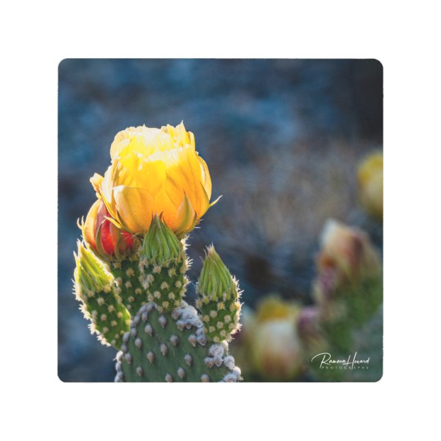 Impresión En Metal Ampliación fotográfica (Anverso)