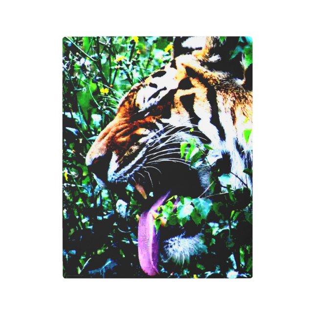 Impresión En Metal Amur Tiger 11x14 (27.5x35cm) wamecna (Anverso)