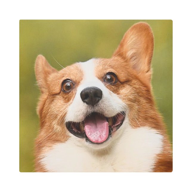 Impresión En Metal Añadir foto de perro personalizada (Anverso)