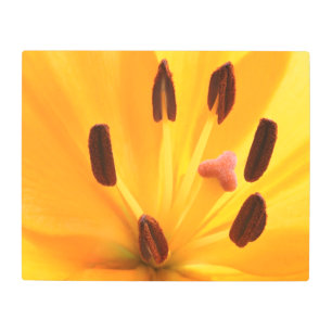 Impresión En Metal Androecium Metalizado Wall Art