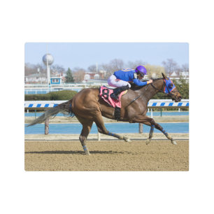 Impresión En Metal Ángel de Daria - La ciudad de Sis