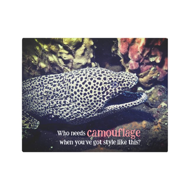 Impresión En Metal Anguila anguila (Anverso)