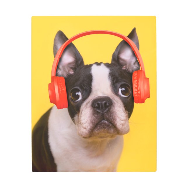 Impresión En Metal Animales de bebé más afectados | Auriculares de Bo (Anverso)