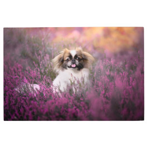 Impresión En Metal Animales de bebé más afectados   Cachorros de Pekí