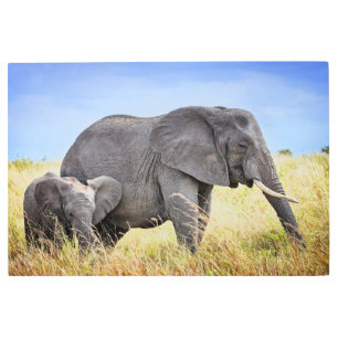 Impresión En Metal Animales de bebé más afectados Elefante africano