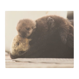 Impresión En Metal Animales de bebé más afectados Grupo de recién n