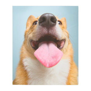 Impresión En Metal Animales de bebé más afectados Lengua Corgi