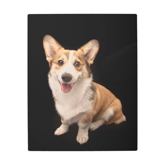 Impresión En Metal Animales de bebé más afectados | Sonrisa de cachor (Anverso)