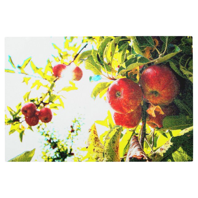 Impresión En Metal "Árbol De Manzanas Rojas En Día Soleado" Foto Cute (Anverso)