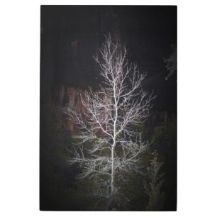 Impresión En Metal Árbol solitario de Sión