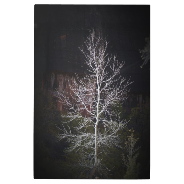 Impresión En Metal Árbol solitario de Sión (Anverso)