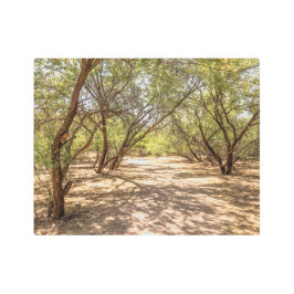 Impresión En Metal Árboles de 4745 sombras en el desierto