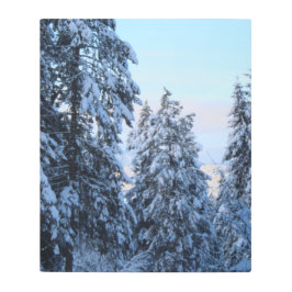 Impresión En Metal Árboles de nieve en la cima