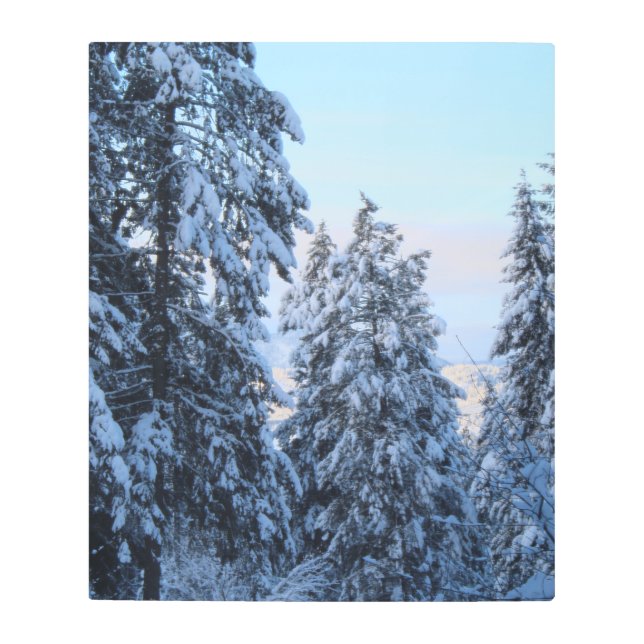 Impresión En Metal Árboles de nieve en la cima (Anverso)