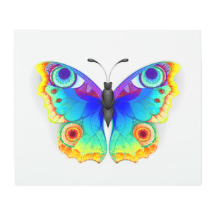 Impresión En Metal Arcoiris mariposa Peacock Eye