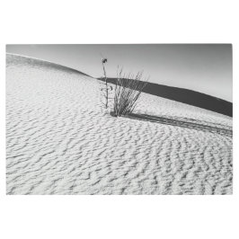Impresión En Metal Arenas blancas bw