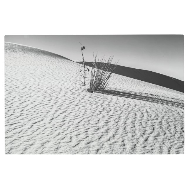 Impresión En Metal Arenas blancas bw (Anverso)