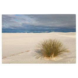 Impresión En Metal Arenas blancas Yucca