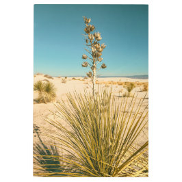 Impresión En Metal Arenas blancas Yucca