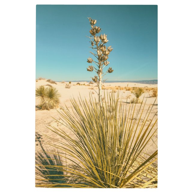 Impresión En Metal Arenas blancas Yucca (Anverso)