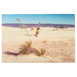 Impresión En Metal Arenas blancas Yuccas