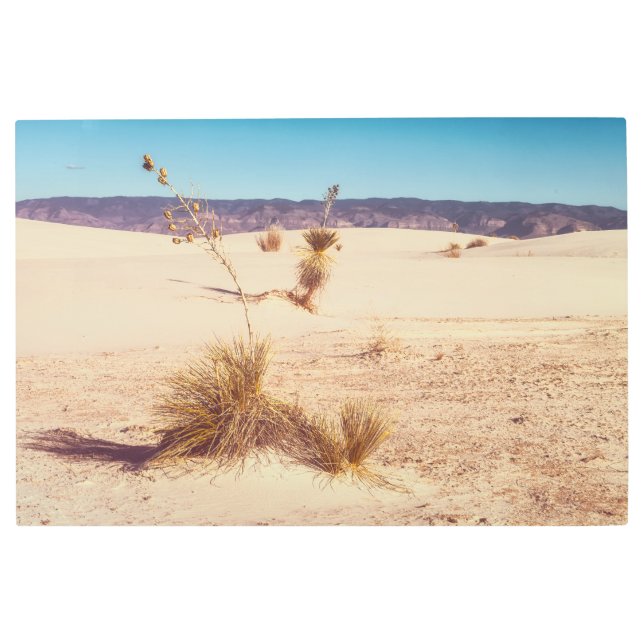 Impresión En Metal Arenas blancas Yuccas (Anverso)