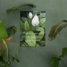 Impresión En Metal Aristóteles Sabiduría Filosófica Cita Paz Lily